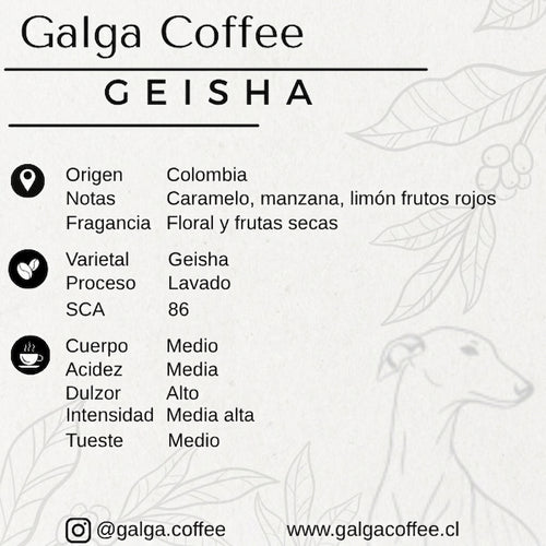 Café Colombia Geisha